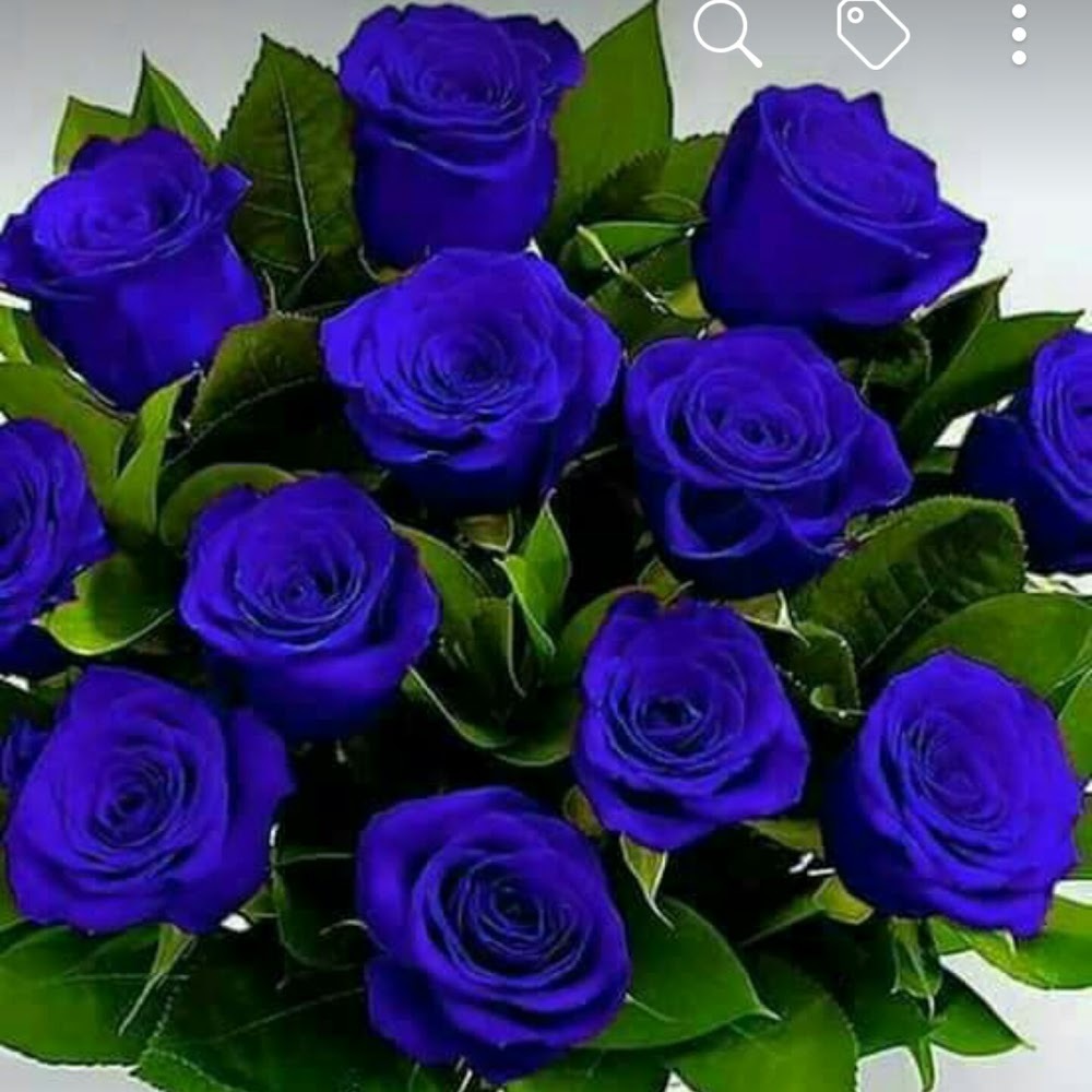 Meet your Posher, Ana